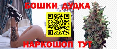 твердый Будённовск