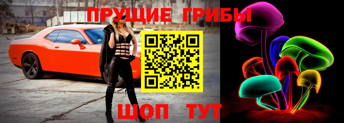 Санкт-Петербург  Галлюциногенные грибы мухоморы  хочу наркоту  Вход с VPN  Галлюциногенные грибы ЛСД 